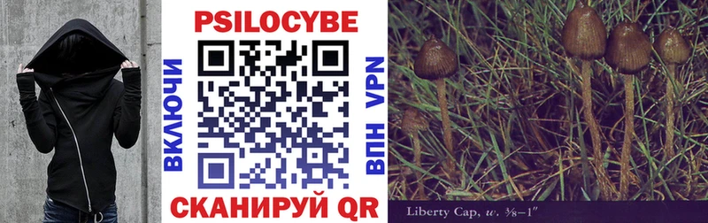 Купить  Галич  Галлюциногенные грибы Psilocybine cubensis 